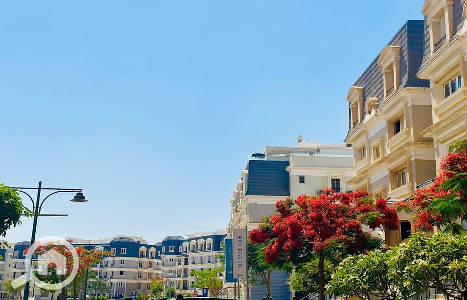 6 2024-06-10 (3). jpg