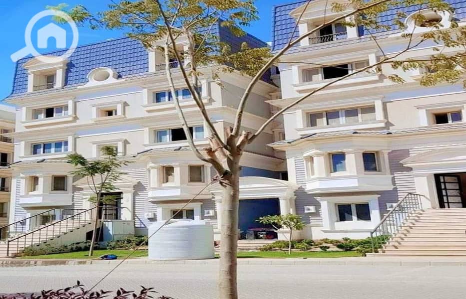 11 464904294_1773797196780777_4390039851811540212_n. jpg