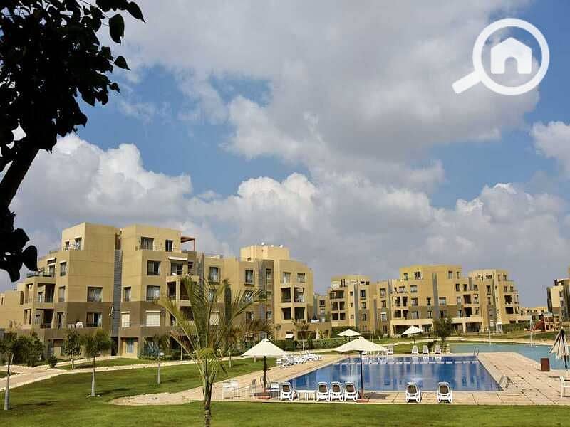 12 110555239_108187787644224_7211964132433562589_n. jpg