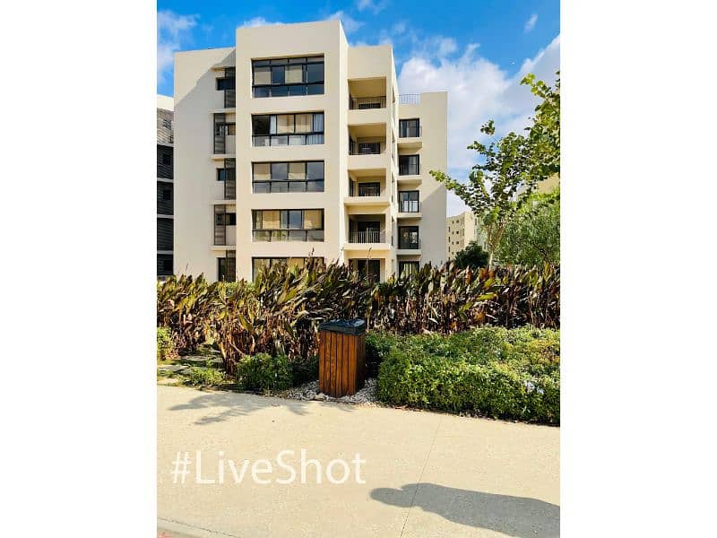 10 556950772_4106043179653177_4537029289373767606_n. jpg