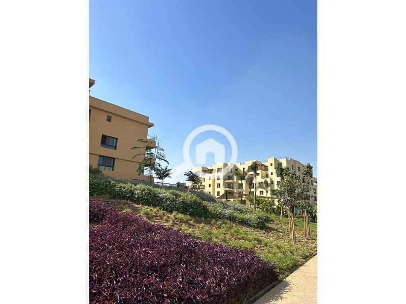 12 557738589_4114944725429689_2599368503087339140_n. jpg