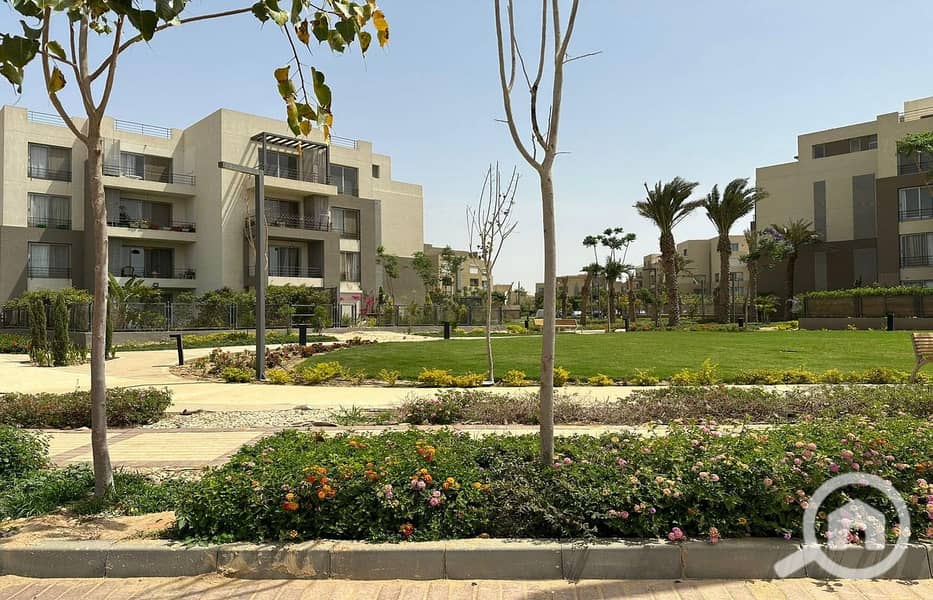 11 441887536_4167255100171354_5042676579410600135_n. jpg