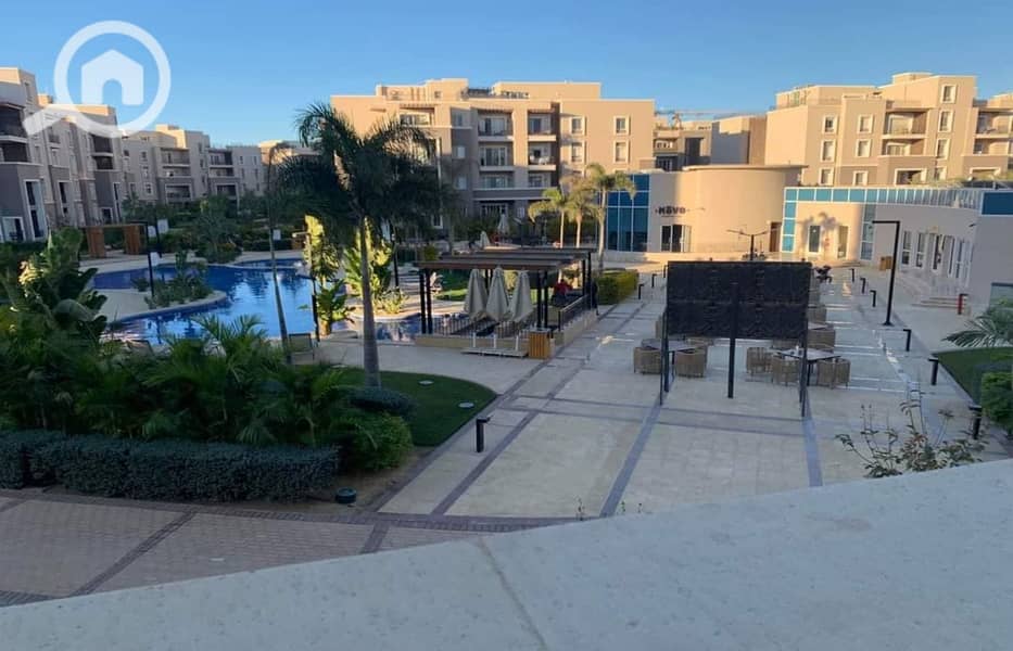 15 447297254_8141325439232869_839167953782268873_n. jpg