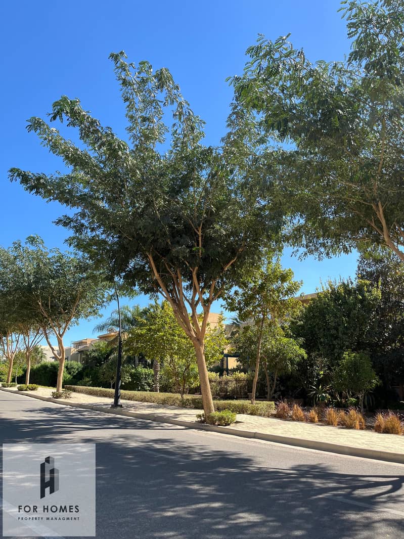 2 WhatsApp Image 2025-01-28 at 4.36. 12 PM (2). jpeg