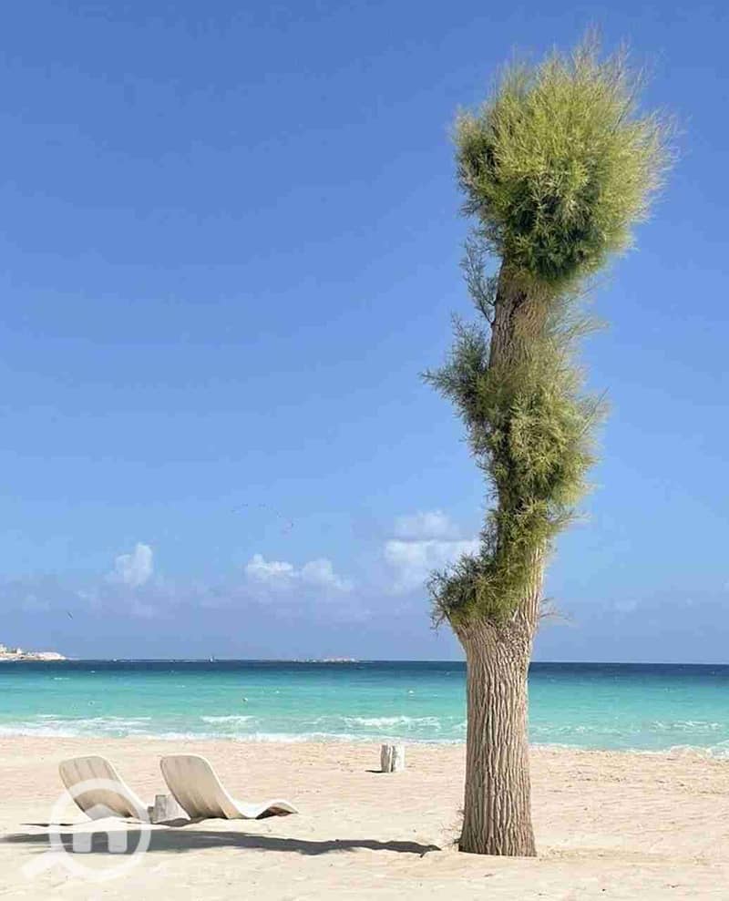 9 IMG-20251103-WA0095. jpg