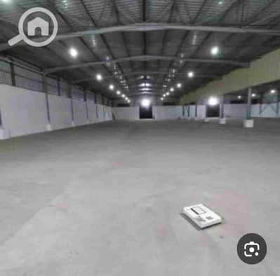 Warehouse for Rent in 10th of Ramadan, Sharqia - 1000060523. jpg