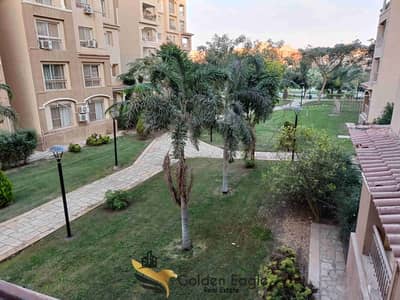 3 Bedroom Flat for Rent in Madinaty, Cairo - 1000520509. jpg 3 Bedroom Flat for Rent in Madinaty, Cairo - 1000520509. jpg