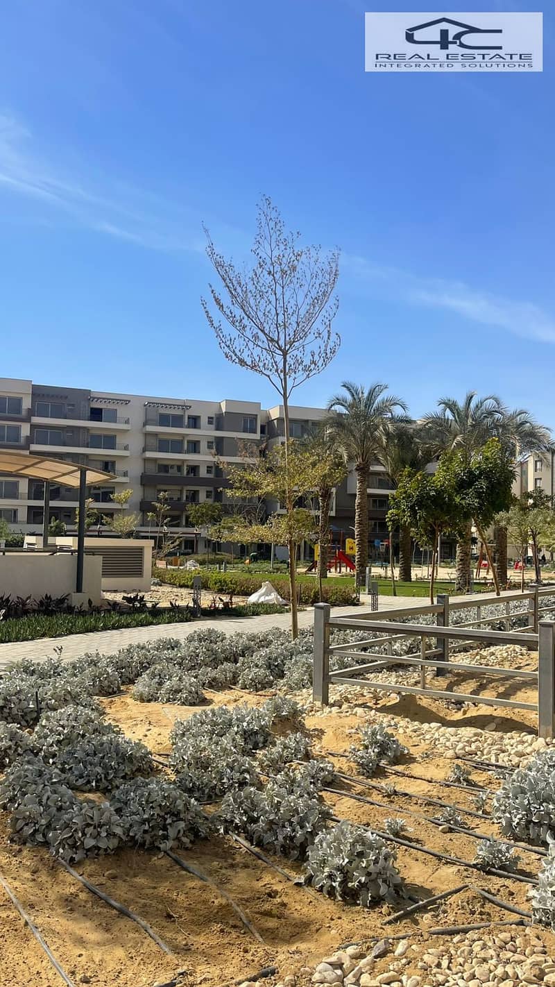 12 WhatsApp Image 2025-05-21 at 4.46. 30 PM. jpeg