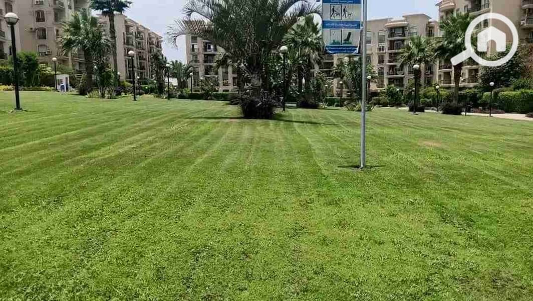 221543. jpg 221543. jpg