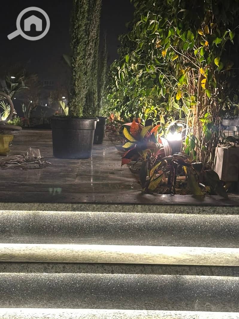 5 4851c666-39f5-4398-8779-e0293d4637e6. jpeg