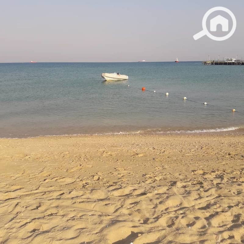 8 19822563311613050457. jpg