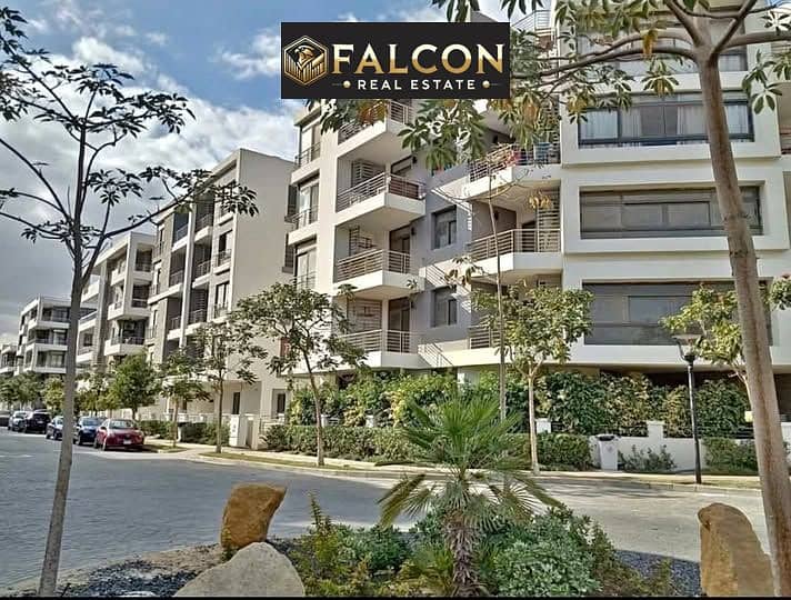 6 539963005_122172050762548253_7340241619479918316_n. jpg