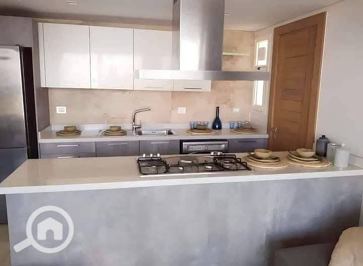 5 photo_2025-02-01_22-53-04. jpg