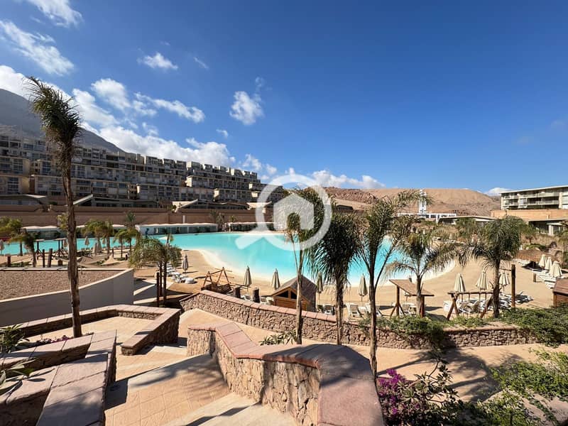 7 499037635_3604094656551246_4085685902564577911_n. jpg