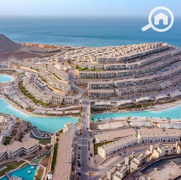 8 photo_2025-03-04_21-39-27. jpg