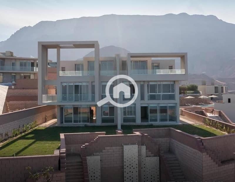 photo_2025-03-04_21-39-27 (2). jpg