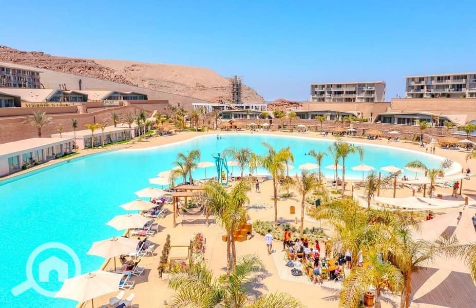 2 photo_2025-03-04_21-39-26. jpg