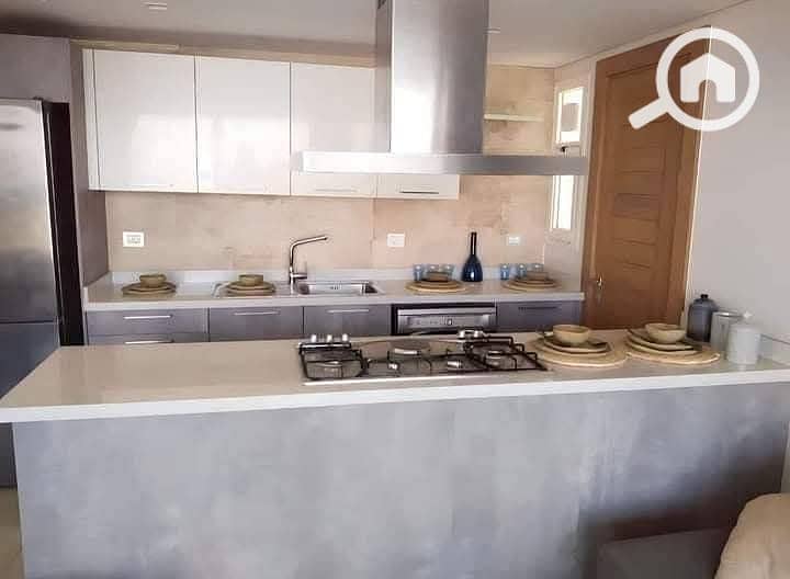 4 photo_2025-02-01_22-53-04. jpg