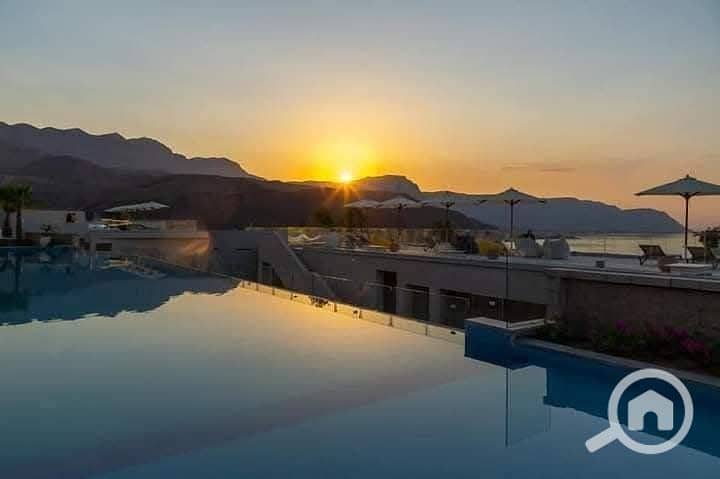 6 photo_2025-02-01_22-53-05. jpg