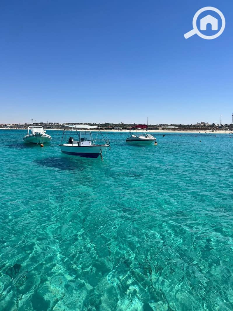 10 photo_2025-08-14_13-16-25. jpg