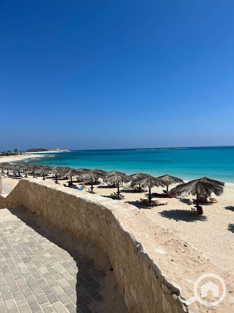 10 photo_2025-02-19_20-06-22. jpg