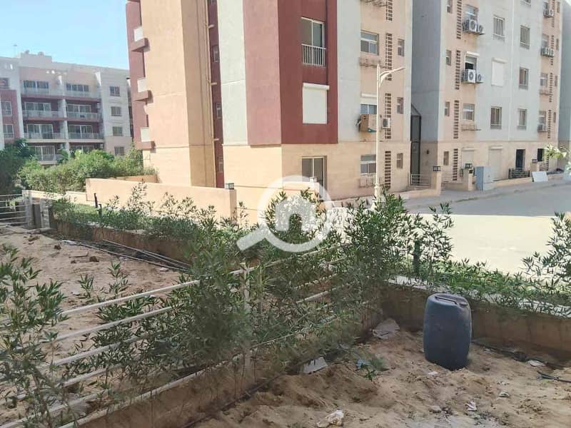 26 1d850678-5c99-4b44-b25b-fb19dc139bc8. jpg