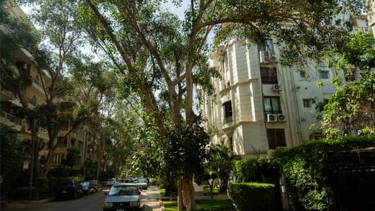 Best Areas for Expats Moving to Egypt in 2025 Best Areas for Expats Moving to Egypt in 2025