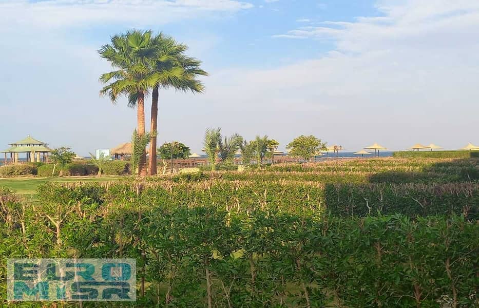 8 IMG-20251117-WA0167. jpg