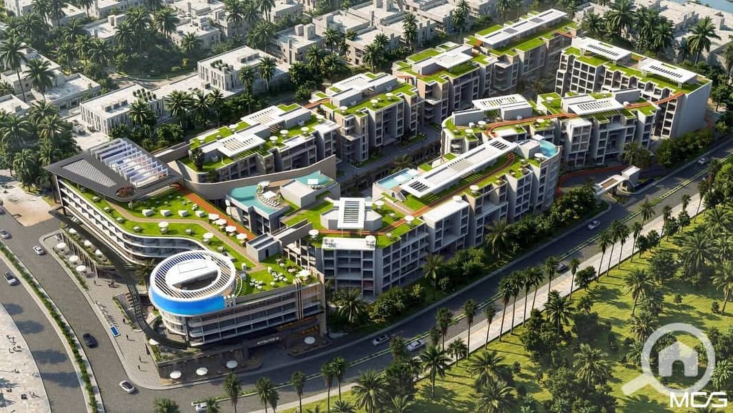 6 8cb26156-0a27-469c-b8b5-679bd86eb286. JPG