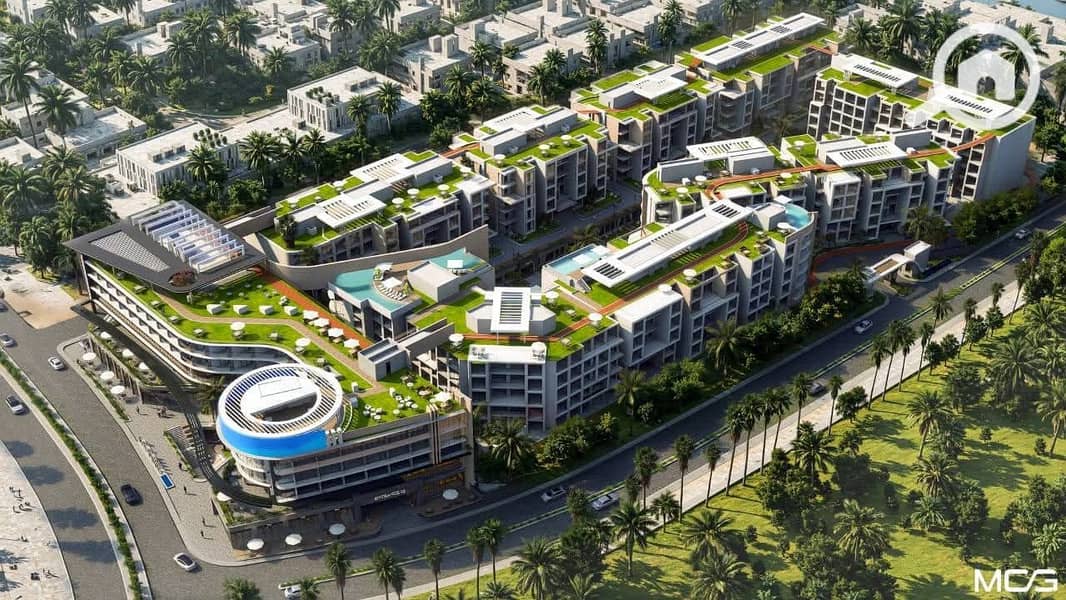 5 8cb26156-0a27-469c-b8b5-679bd86eb286. JPG