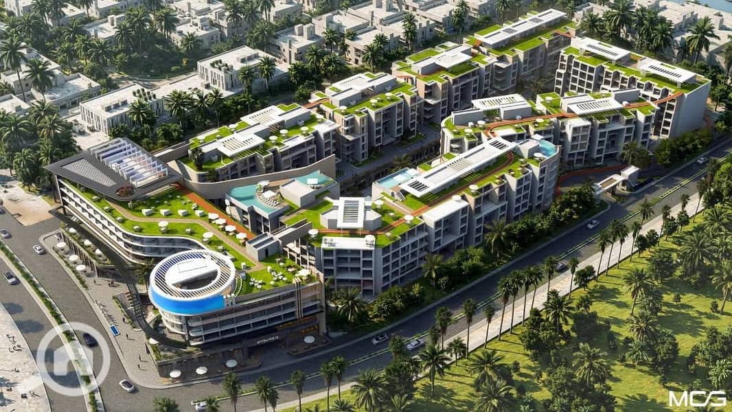 5 8cb26156-0a27-469c-b8b5-679bd86eb286. JPG