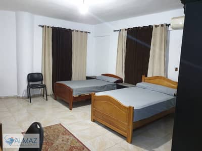 استوديو  للايجار في القاهرة الجديدة، القاهرة - WhatsApp Image 2025-11-09 at 1.23. 08 PM. jpeg