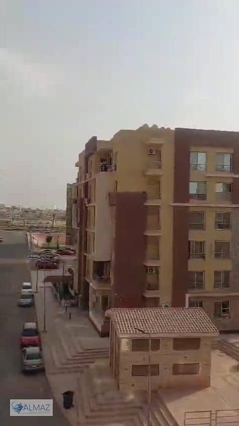 4 WhatsApp Image 2025-11-03 at 10.58. 22 AM. jpeg