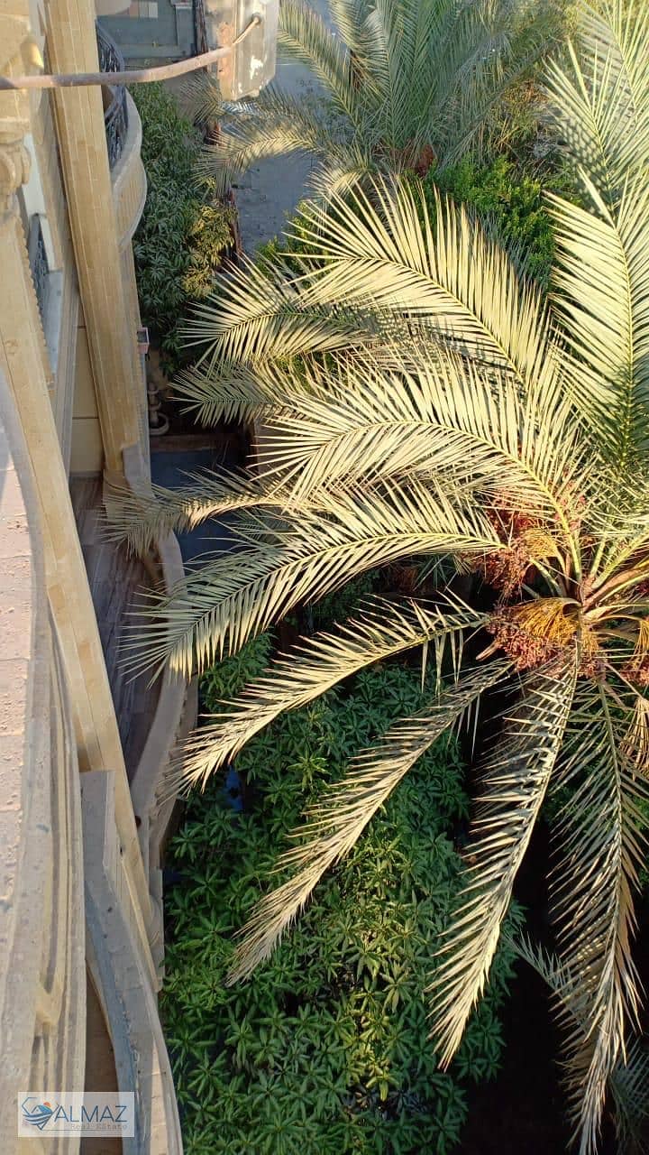 6 WhatsApp Image 2025-11-04 at 2.02. 21 PM (2). jpeg