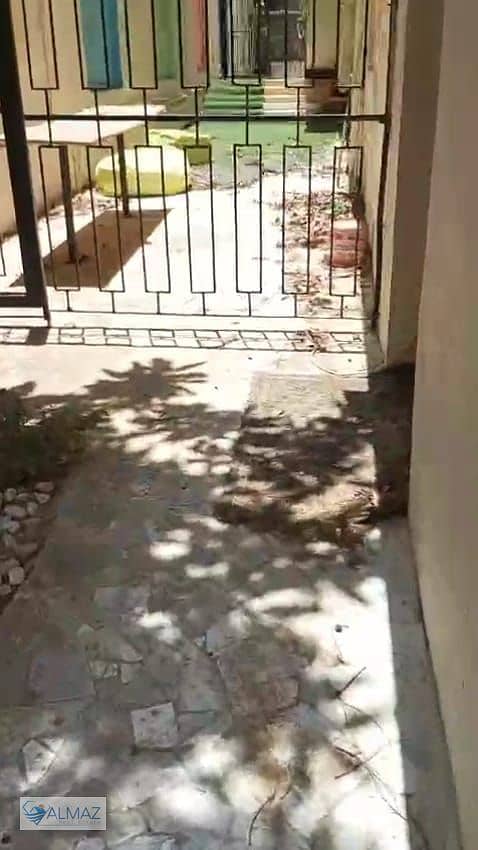 4 WhatsApp Image 2025-11-05 at 4.21. 39 PM (2). jpeg