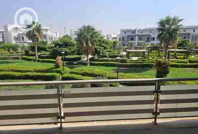 1000256858. webp 1000256858. webp