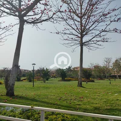 عقارات تجارية اخرى للبيع في مدينة الشروق، القاهرة - 6cb12b85-7008-49c7-8541-f9bfa595e381. jpg عقارات تجارية اخرى للبيع في مدينة الشروق، القاهرة - 6cb12b85-7008-49c7-8541-f9bfa595e381. jpg