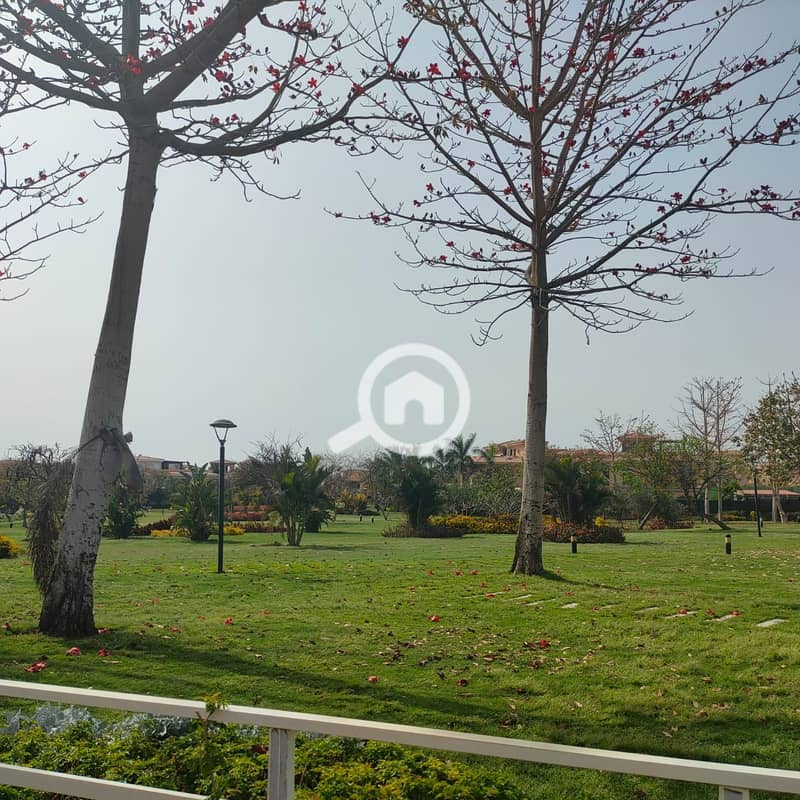 6cb12b85-7008-49c7-8541-f9bfa595e381. jpg 6cb12b85-7008-49c7-8541-f9bfa595e381. jpg