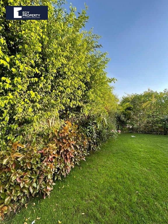 16 _files_IMG_063084103d. jpeg