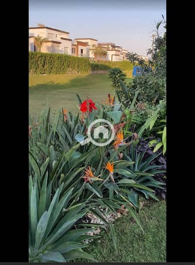 تاون هاوس 5 غرف نوم للبيع في القاهرة الجديدة، القاهرة - WhatsApp Image 2025-11-17 at 3.50. 28 PM (2). jpeg