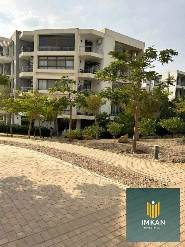 12 576926402_1329604464982630_5814739235191204245_n. jpg