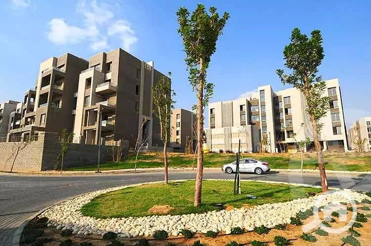 9 6069b033c617a860976710. jpg