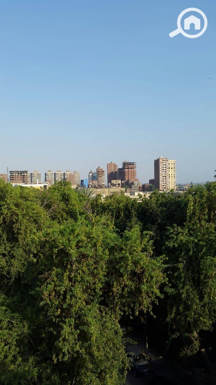 2 0055ce08-34b8-4876-aa28-674888107af5. jpeg