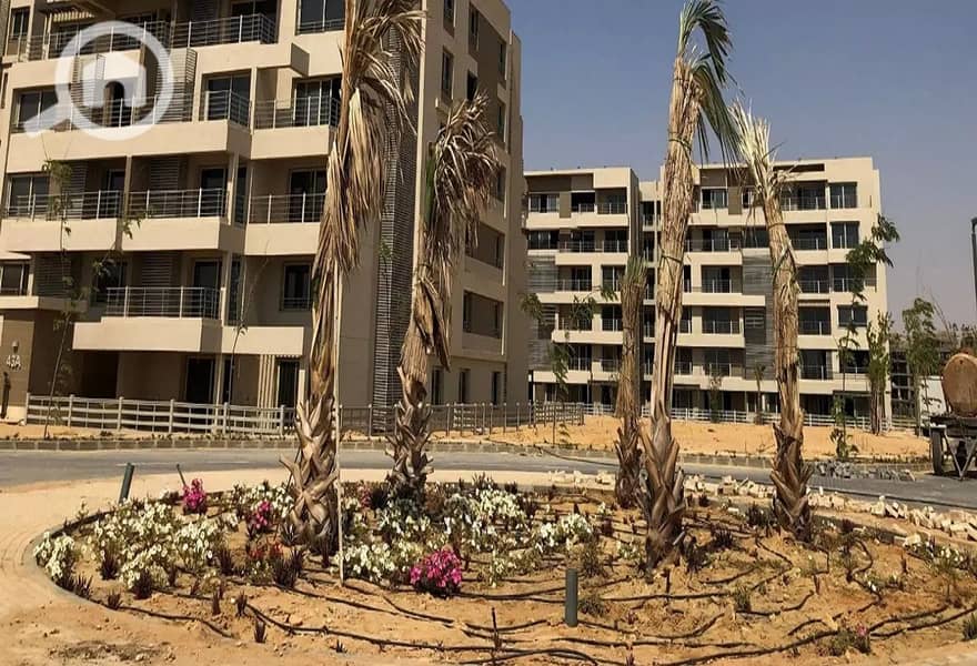 11 287766625_4866117153511776_3506312400409091071_n. jpg