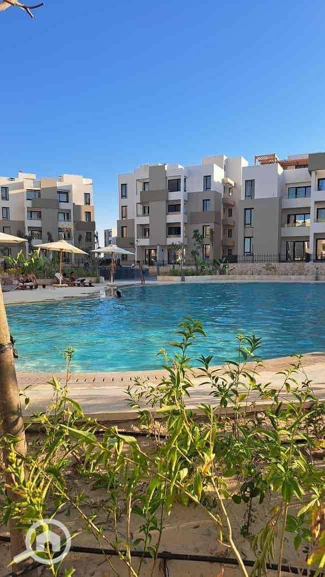 5 22296ee0-5c58-45e7-b4b7-4200c93775a4. jpg