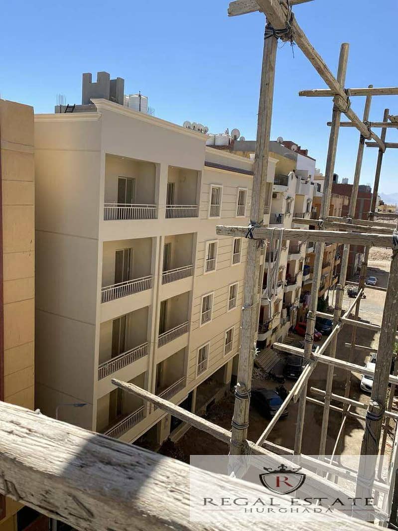 7 553548157_1446645743081410_1899129987409062556_n. jpg