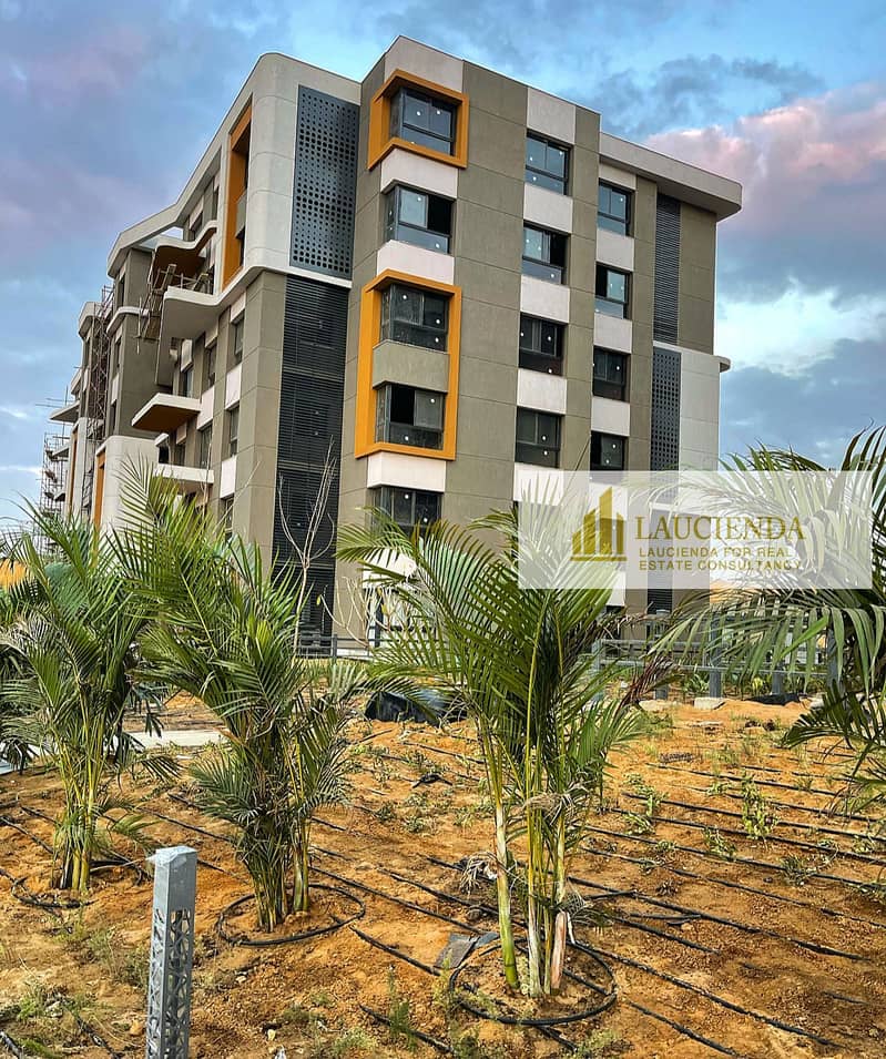 5 WhatsApp Image 2025-11-17 at 4.31. 37 AM. jpeg