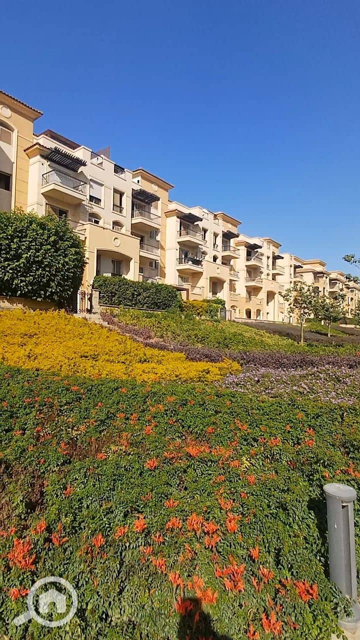 5 352a8592-3875-43e7-962e-33487b8b6233. jpg