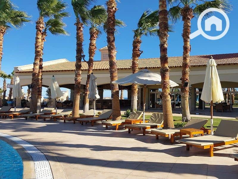 2 20240130_141759. jpg