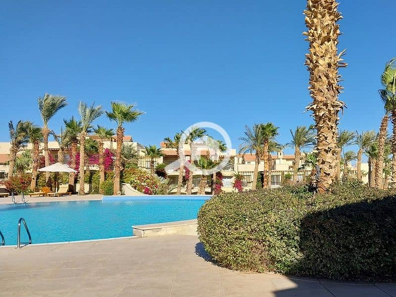 4 20240130_141901. jpg